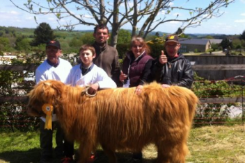 Un groupe de personnes avec une vache Highland