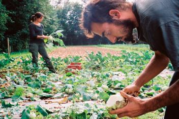 Ouvrier maraicher cultivant dans un champ