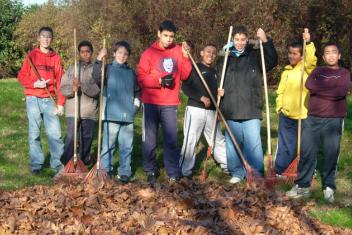 Groupe de jeunes qui rassemblent les feuilles d'arbre 